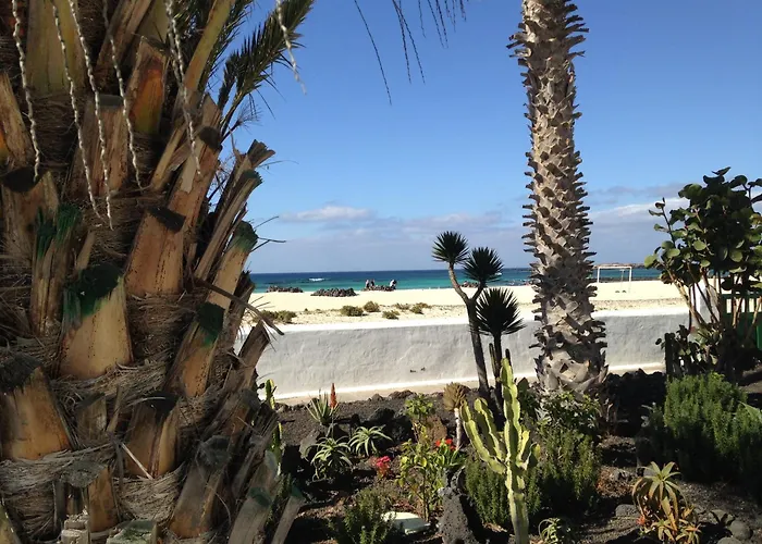 El Islote Direct At Paradise Cotillo