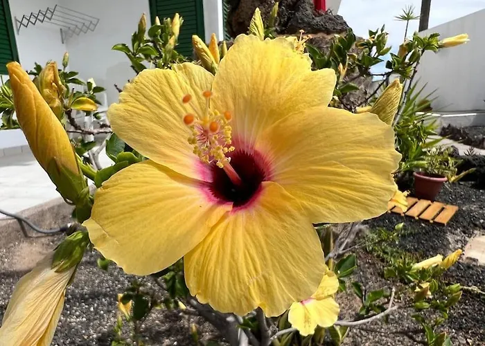 El Islote Direct At Paradise Apartamento