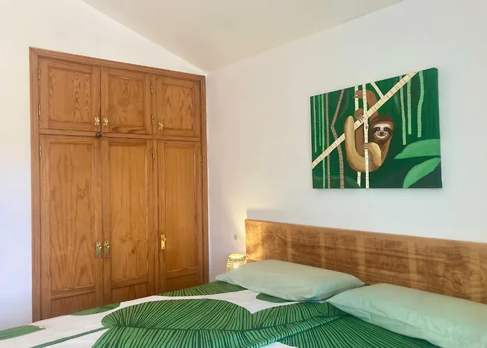 El Islote Direct At Paradise